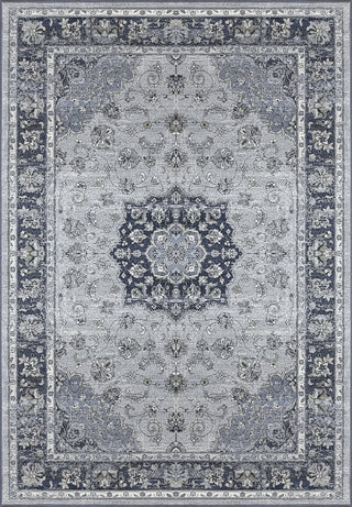 Dynamic Rugs Ancient Garden 57559 Silver/Blue Area Rug main image