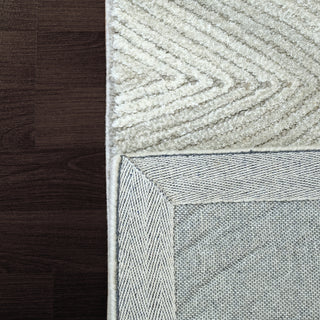 Dynamic Rugs Ariana 8182 Ivory Taupe Area Rug Detail Image