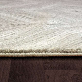 Dynamic Rugs Ariana 8182 Ivory Taupe Area Rug