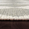 Dynamic Rugs Ava 5200 Ivory Grey Area Rug Detail Image