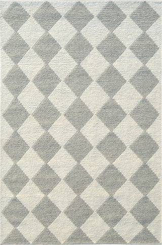 Dynamic Rugs Ava 5200 Ivory Grey Area Rug main image