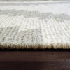 Dynamic Rugs Ava 5201 Ivory Grey Area Rug