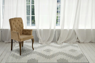 Dynamic Rugs Ava 5201 Ivory Grey Area Rug Lifestyle Image Feature