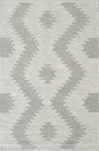 Dynamic Rugs Ava 5201 Ivory Grey Area Rug main image