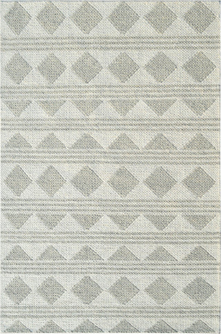 Dynamic Rugs Ava 5202 Grey Ivory Area Rug main image