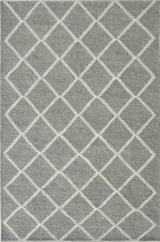 Dynamic Rugs Ava 5203 Grey Ivory Area Rug main image