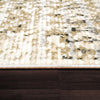 Dynamic Rugs Avery 6545 Ivory/Grey Area Rug
