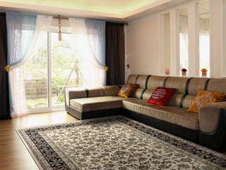 Dynamic Rugs Brilliant 72284 Ivory Area Rug Lifestyle Image