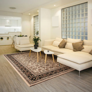 Dynamic Rugs Brilliant 72284 Ivory Area Rug Lifestyle Image