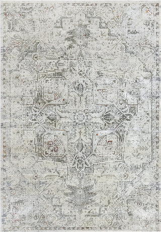 Dynamic Rugs Capella 7977 Grey/Multi Area Rug main image