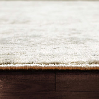 Dynamic Rugs Castilla 3530 Ivory/Grey Area Rug Detail Image