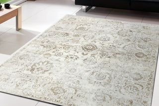 Dynamic Rugs Castilla 3530 Ivory/Grey Area Rug