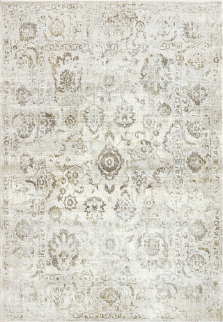 Dynamic Rugs Castilla 3530 Ivory/Grey Area Rug main image