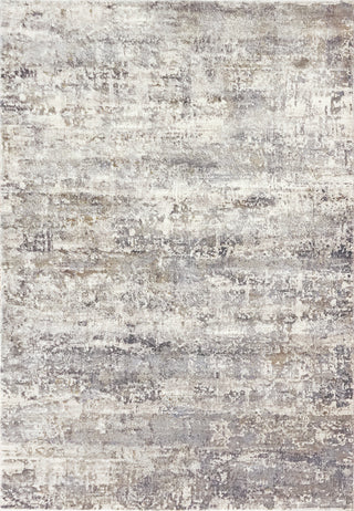 Dynamic Rugs Castilla 3533 Cream/Grey Area Rug main image