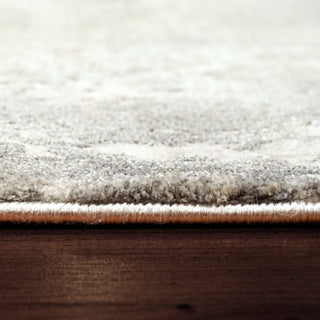 Dynamic Rugs Castilla 3535 Cream/Grey Area Rug Detail Image