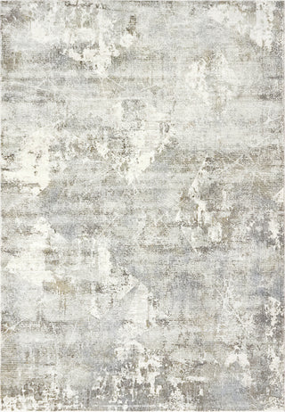 Dynamic Rugs Castilla 3535 Cream/Grey Area Rug main image