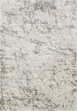 Dynamic Rugs Castilla 3554 Ivory/Grey Area Rug