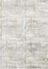 Dynamic Rugs Castilla 3555 Ivory/Grey Area Rug main image