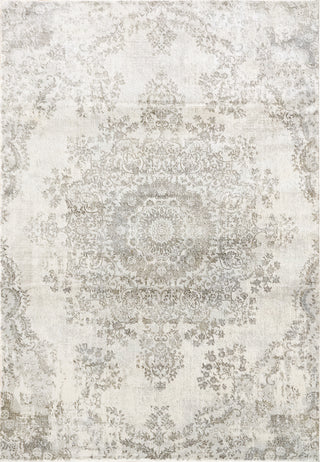 Dynamic Rugs Castilla 3558 Light Grey Area Rug