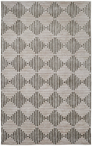 Dynamic Rugs Celeste 99222 Ivory/Silver Area Rug main image