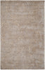 Dynamic Rugs Celeste 99225 Silver/Beige Area Rug main image
