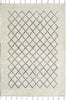 Dynamic Rugs Celestial 6953 Ivory/Black Area Rug main image