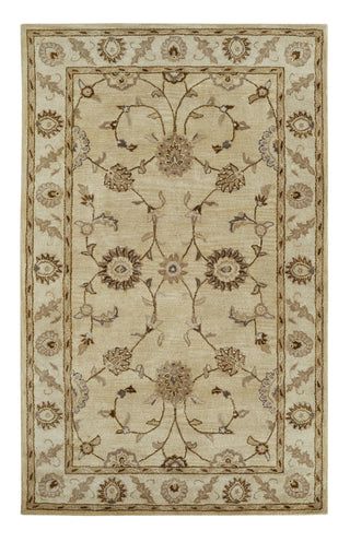 Dynamic Rugs Charisma 1405 Champaign Area Rug main image