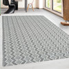 Dynamic Rugs Cleveland 7451 Silver/Grey Area Rug
