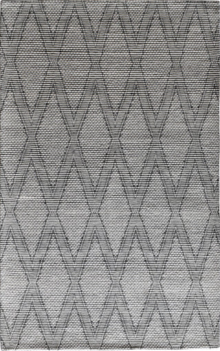 Dynamic Rugs Cleveland 7453 White/Grey Area Rug