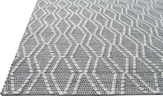 Dynamic Rugs Cleveland 7455 Grey Area Rug