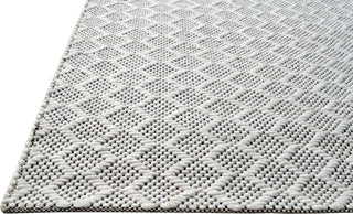 Dynamic Rugs Cleveland 7456 Ivory Area Rug