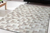 Dynamic Rugs Eclipse 63339 Beige Area Rug Lifestyle Image
