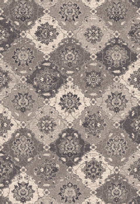 Dynamic Rugs Farahan 95009 Grey Area Rug main image