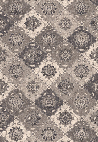 Dynamic Rugs Farahan 95009 Grey Area Rug main image