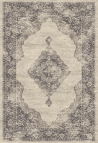 Dynamic Rugs Farahan 95024 Grey/Cream Area Rug main image