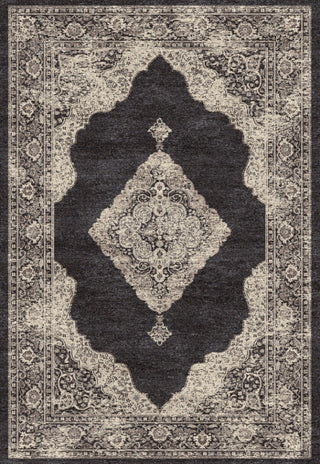 Dynamic Rugs Farahan 95024 Black/Cream Area Rug main image