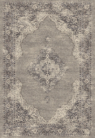 Dynamic Rugs Farahan 95024 Grey Area Rug main image