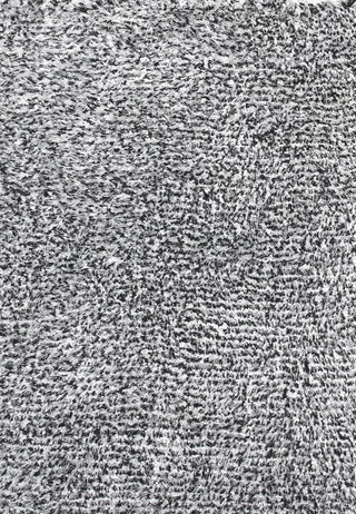 Dynamic Rugs Forte 88601 Black/White Area Rug main image