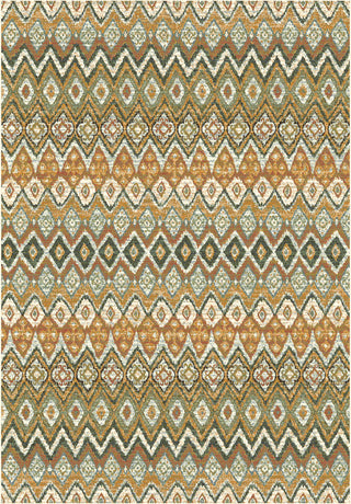 Dynamic Rugs Heritage 89363 Multi Area Rug main image