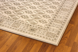 Dynamic Rugs Imperial 12146 Beige Area Rug Detail Image