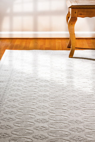 Dynamic Rugs Imperial 12146 Beige Area Rug Lifestyle Image Feature