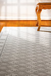 Dynamic Rugs Imperial 12146 Grey Area Rug Lifestyle Image Feature