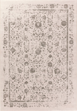 Dynamic Rugs Imperial 12213 Beige/Taupe Area Rug main image