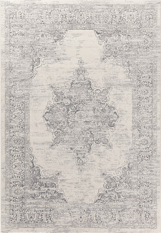 Dynamic Rugs Imperial 12259 Ivory/Grey Area Rug main image