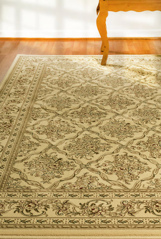 Dynamic Rugs Legacy 58018 Ivory Area Rug Lifestyle Image Feature