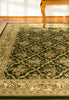 Dynamic Rugs Legacy 58018 Green Area Rug Lifestyle Image Feature