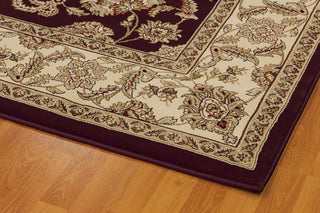 Dynamic Rugs Legacy 58020 Brown Area Rug Detail Image