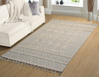 Dynamic Rugs Liberty 2132 Light Grey Area Rug