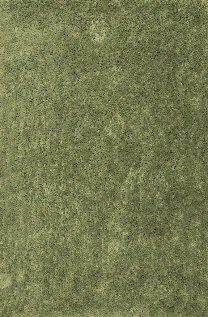 Dynamic Rugs Luxury Shag 2550 Light Green Area Rug main image
