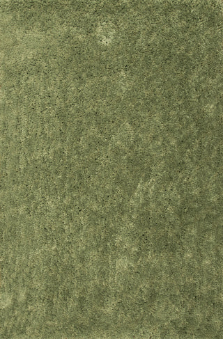 Dynamic Rugs Luxury Shag 2550 Light Green Area Rug main image